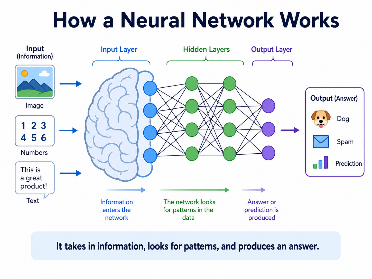 A simple diagram of a neural network for beginners